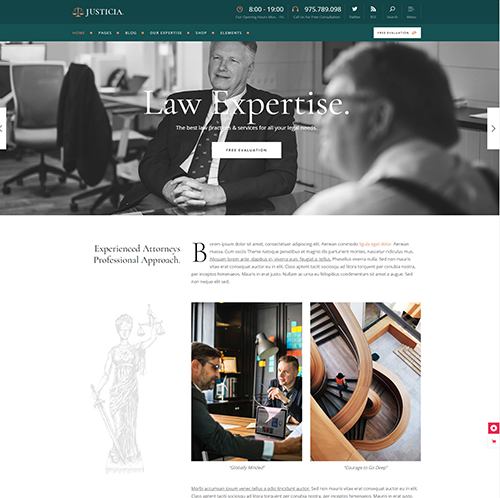 Portfolio displaying innovative designs for law firm websites.