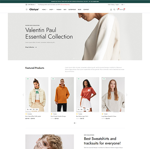 Website design portfolio featuring branding by Valentin Paul.