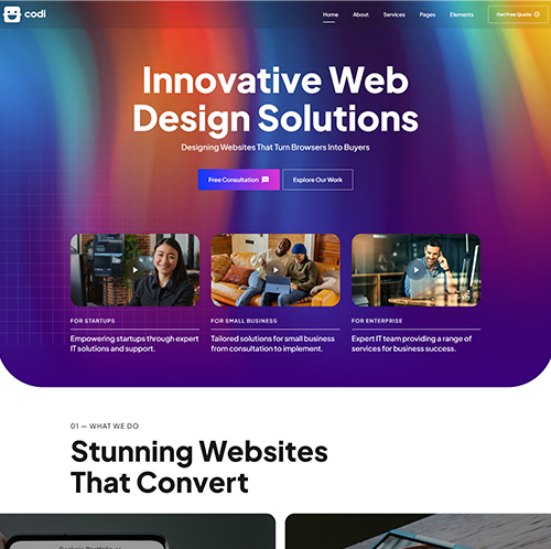 Innovative web design solutions portfolio showcasing branding.